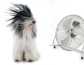 En test : ventilateur de sol Aerson