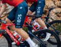Das Pinarello Dogma F im Detail