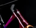 Das markante Colnago-Emblem darf nicht fehlen