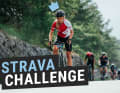 TOUR Transalp Strava Challenge