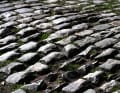 Paris-Roubaix is known for its cobblestone sectors