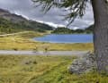 Kurz vorm Staller Sattel schlängelt sich die Straße um den malerischen Obersee