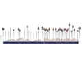 Omloop Het Nieuwsblad 2023: The elevation profile of the men's race