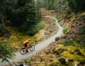 Emanzipiert: Das Stigmata ging ursprünglich als Cyclocrosser an den Start und ist nun in der neuesten Version ein vielseitiges Gravelbike, das verschiedene Terrains unter die Reifen nimmt.