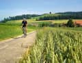 Rich Emmental: meadows, fields, farms