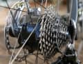 E-drive? Where? The Mahle hub motor is hidden between the disc brake and the sprocket set.