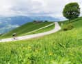 Many paths lead to Monte Grappa - here the ascent from the north.
