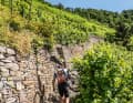 On your shoulder: Some paths through the vineyards are so steep that you have to carry your bike.