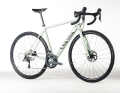 The Canyon Endurace 6