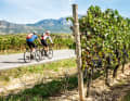 ... Berge: Reben und Höhenzüge sind ständige Begleiter in der Rioja.