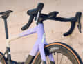 A look at the Rose Xlite Unltd
