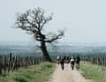 sur des chemins cahoteux