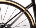 Weight-saving: The struts to the rear wheel are barely the thickness of a finger.