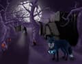 At the end of August, the Dreifels Gravel Camp takes place where fox and hare say goodnight.