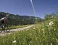 Route traversant la vallée de la Starzlach, (également appelée vallée de Rohrmoos ou Rohrmoostal) dans les Alpes d'Allgäu à l'ouest d'Oberstdorf. La partie allant de Tiefenbach à Rohrmoos est soumise à un péage et la route de Rohrmoos à la frontière est fermée à la circulation publique.