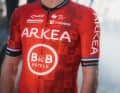 The Arkea-B&B Hotels jersey in detail