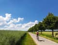Schmale Platten Dank Betonplattenweg südlich der Müritz vermeidet man die Hauptstraße.