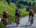 Tough pannier and crooked legs