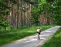 Schleichpfad Der autofreie Plattenweg im Müritz-Nationalpark ist selbst mit Karte nur schwer zu finden.