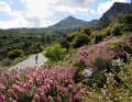 Crete has many faces: sometimes wild, sometimes lovely, sometimes lush green, then barren and rocky. In any case, the largest Greek island offers numerous challenging climbing routes.