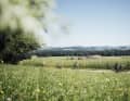 The discovery quarter invites you to go on extended tours through nature