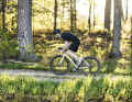 Nouveau venu : le Backroad Fast Forward est présenté par la société de Bocholt comme un gravelbike orienté vers la course.