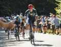 Strong man: Jonathan Milan was the fastest in the peloton. He won the prologue and two stages in a bunch sprint.