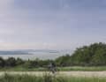 Beautiful views: Gravel bikers can explore a fine network of dirt and gravel paths around Lake Trasimeno