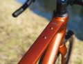 Das Carver Gravel 220 1by im Detail
