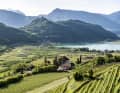 Blick von Kaltern zum Kalterer See und den letzten Teil der fünften Etappe, die durch die Weinberge hier herauf führt.
