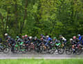 196 Kilometer zwischen Scandiano und Viareggio