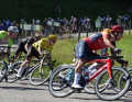TOUR examine à la loupe les vélos de course des équipes et jette un coup d'œil sur les vélos qui auront probablement le plus de succès.
