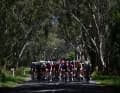 The peloton stayed together until the first intermediate sprint, ...