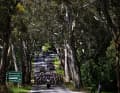 Das Peloton der 8. Santos Women's Tour Down Under 2024, 1. Etappe, 93,9 km von Hahndorf nach Campbelltown.