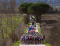 Les Strade Bianche 2024 étaient longues de 215 kilomètres et avaient un départ et une arrivée à Sienne.