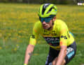 A environ 40 kilomètres de l'arrivée, le capitaine de Bora-Hangrohe Primoz Roglic a chuté...