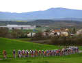 The peloton was thinned out on stage 5 of the 2024 Tour of the Basque Country after the heavy crashes of the previous day