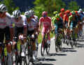 Mais les 14 coureurs n'ont pas réussi à prendre une grande avance. D'autant plus que les EAU ont décidé à un moment donné de conduire Pogacar à la victoire d'étape.