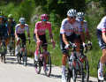UAE Team Emirates around Tadej Pogacar lets the group go