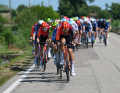 A good 60 kilometres before the finish, the peloton is caught in the wind