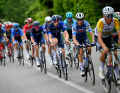The large chasing group (pictured) and the leading group then fell apart on the Mortirolo climb, after which there were only a few riders at the front of the field...