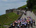 An Höhenmetern wird es auch bei der Tour de Suisse Women 2025 nicht mangeln