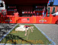 The 10th stage starts in Ponteareas and covers 160 kilometres to Baiona