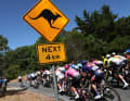 Vers la mi-course, deux kangourous ont soudainement sauté dans le peloton, faisant chuter plusieurs coureurs.