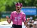 Même dans le cyclisme moderne, on trouve des maillots particulièrement voyants. Par exemple, celui de l'équipe EF Education - EasyPost