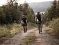 Dans les monts Métallifères, les vététistes peuvent parcourir des kilomètres sur des pistes forestières et des sentiers.