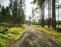 Grevet-Impression aus dem Harz