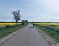 Grundlage am Geiseltalsee und auf dem Zuckerbahnradweg