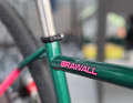 The Cybercycles Grawall is a further development of the Grawumm model.