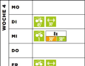 Basic plan everyman race week 4